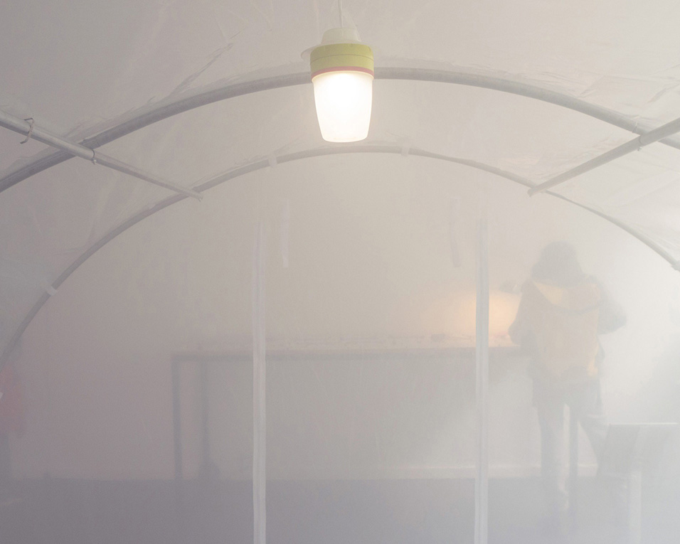 fog inside a greenhouse