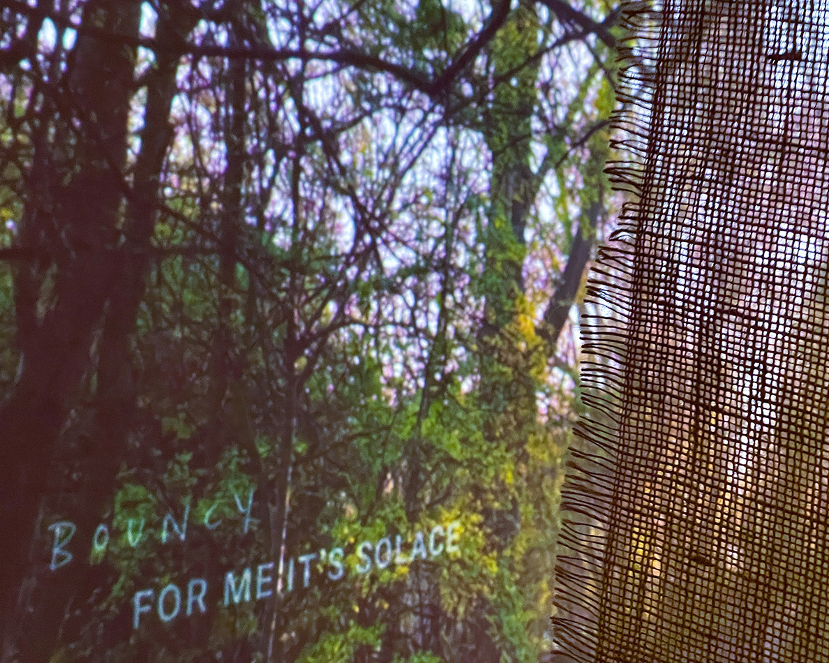 video installation
